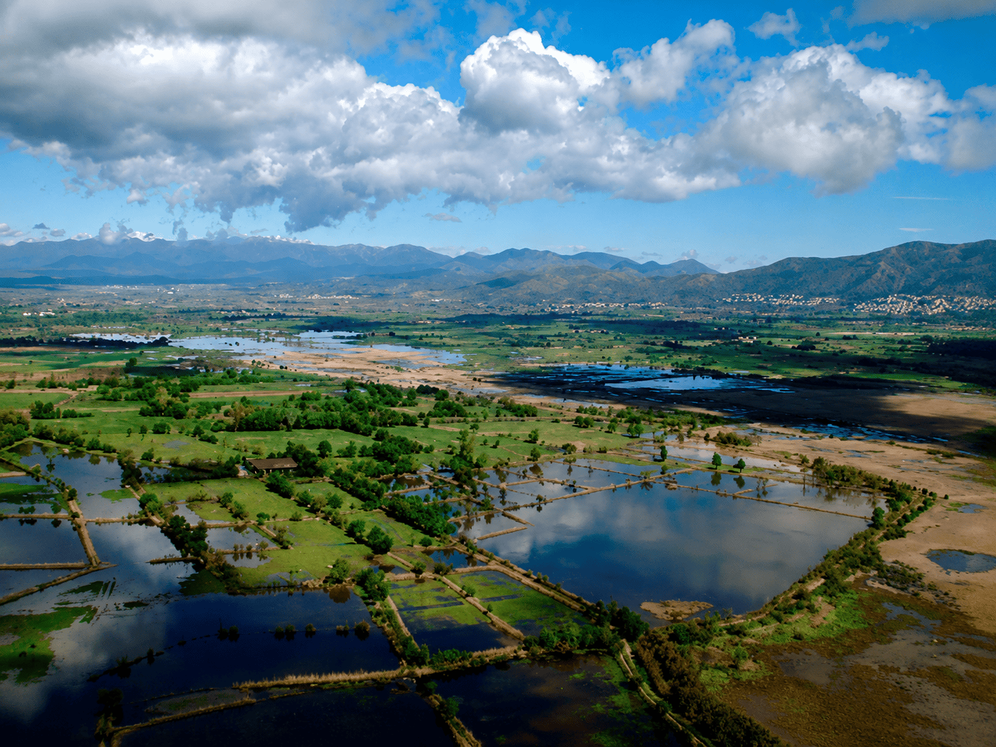 Aiguamolls de l’Empordà
